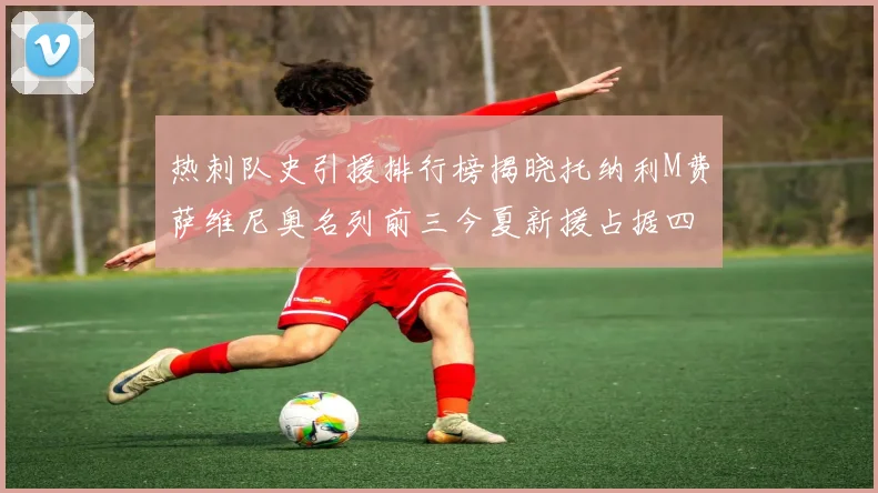 热刺队史引援排行榜揭晓托纳利M费萨维尼奥名列前三今夏新援占据四席